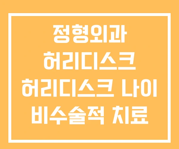 정형외과 허리디스크 허리디스크 나이 비수술적 치료 정형외과 허리디스크 허리디스크 나이 비수술적 치료