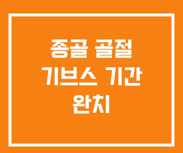 종골 골절 기브스 기간 완치 종골 골절 기브스 기간 완치