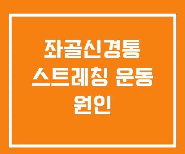 좌골신경통 스트레칭 운동 원인