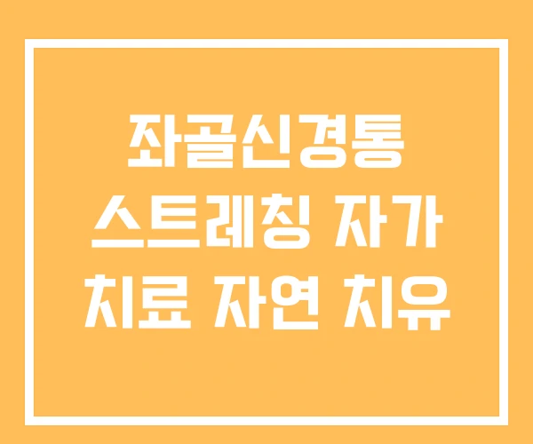 좌골신경통 스트레칭 자가 치료 자연 치유