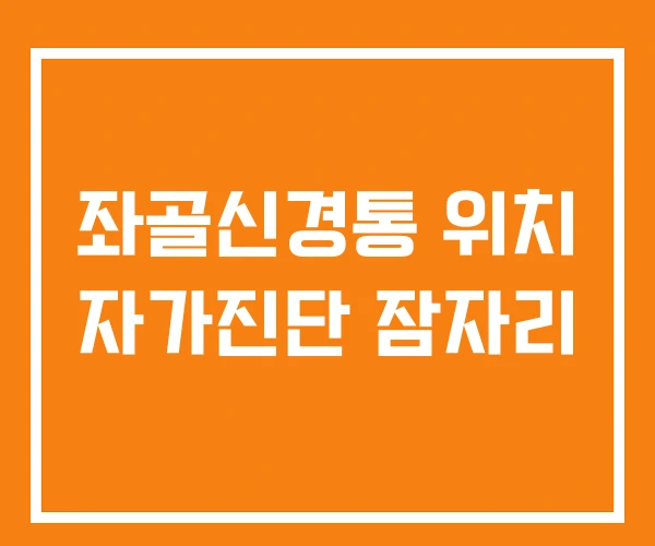 좌골신경통 위치 자가진단 잠자리