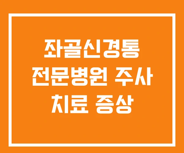 좌골신경통 전문병원 주사 치료 증상 좌골신경통 전문병원 주사 치료 증상