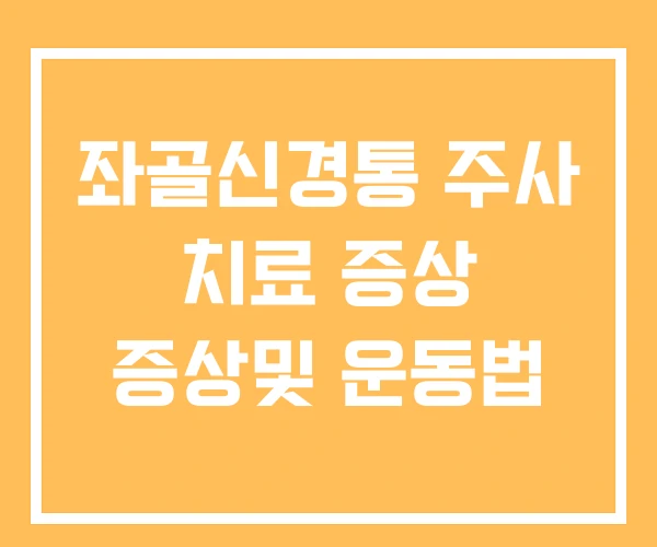 좌골신경통 주사 치료 증상 증상및 운동법 좌골신경통 주사 치료 증상 증상및 운동법