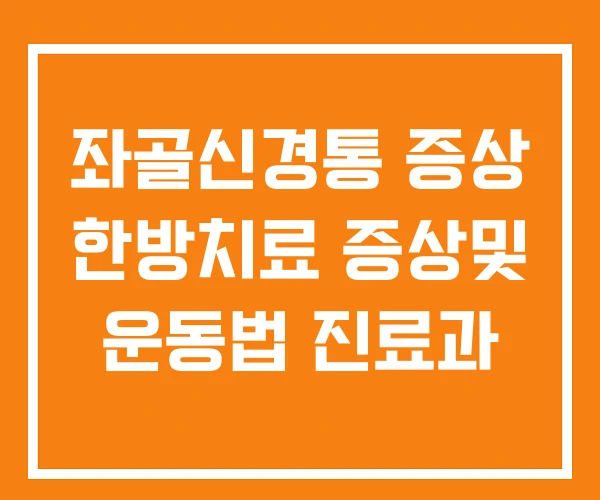 좌골신경통 증상 한방치료 증상및 운동법 진료과 좌골신경통 증상 한방치료 증상및 운동법 진료과