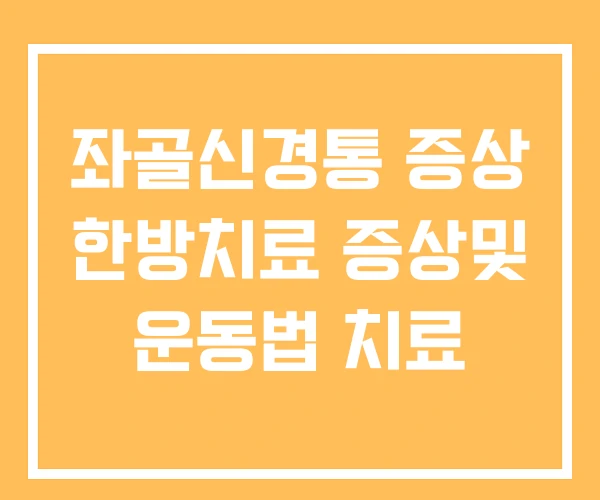 좌골신경통 증상 한방치료 증상및 운동법 치료 좌골신경통 증상 한방치료 증상및 운동법 치료