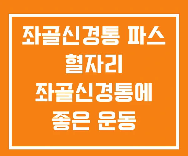 좌골신경통 파스 혈자리 좌골신경통에 좋은 운동 좌골신경통 파스 혈자리 좌골신경통에 좋은 운동
