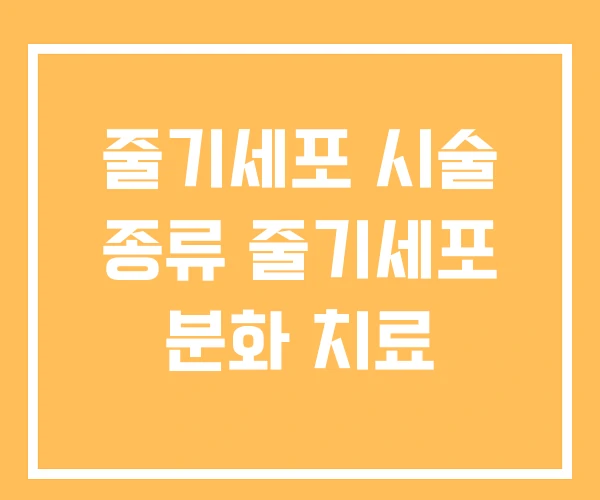 줄기세포 시술 종류 줄기세포 분화 치료 줄기세포 시술 종류 줄기세포 분화 치료