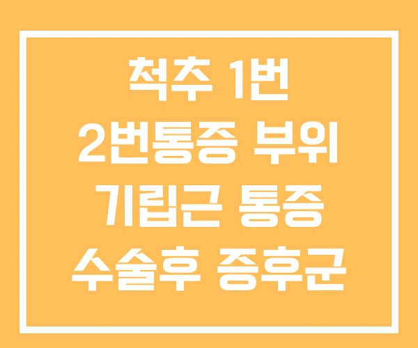 척추 1번 2번통증 부위 기립근 통증 수술후 증후군 척추 1번 2번통증 부위 기립근 통증 수술후 증후군