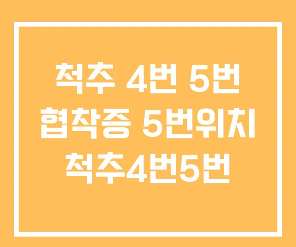 척추 4번 5번 협착증 5번위치 척추4번5번 척추 4번 5번 협착증 5번위치 척추4번5번