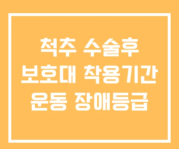 척추 수술후 보호대 착용기간 운동 장애등급