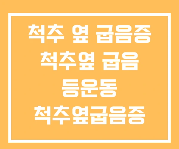 척추 옆 굽음증 척추옆 굽음 등운동 척추옆굽음증