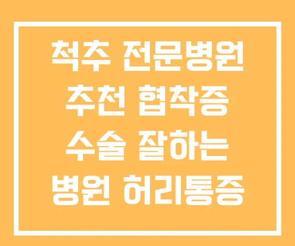 척추 전문병원 추천 협착증 수술 잘하는 병원 허리통증 척추 전문병원 추천 협착증 수술 잘하는 병원 허리통증