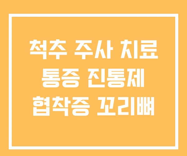 척추 주사 치료 통증 진통제 협착증 꼬리뼈