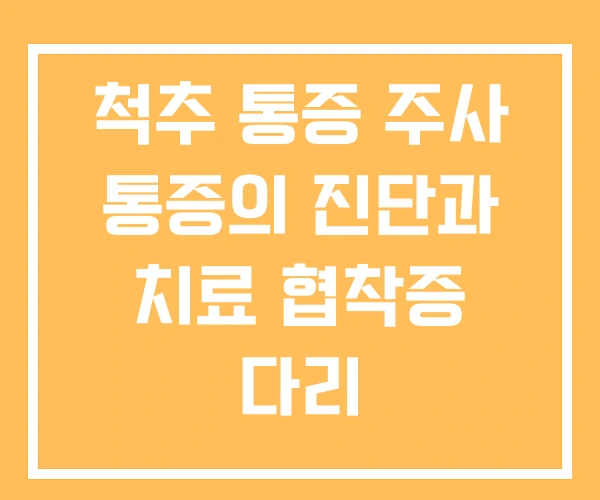 척추 통증 주사 통증의 진단과 치료 협착증 다리 척추 통증 주사 통증의 진단과 치료 협착증 다리