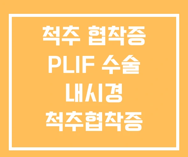 척추 협착증 PLIF 수술 내시경 척추협착증 척추 협착증 PLIF 수술 내시경 척추협착증