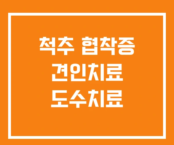 척추 협착증 견인치료 도수치료 척추 협착증 견인치료 도수치료