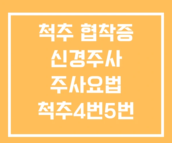 척추 협착증 신경주사 주사요법 척추4번5번 주사 치료
