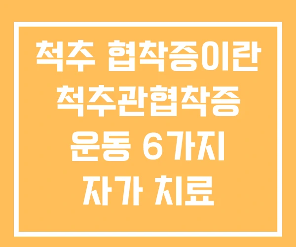 척추 협착증이란 척추관협착증 운동 6가지 자가 치료