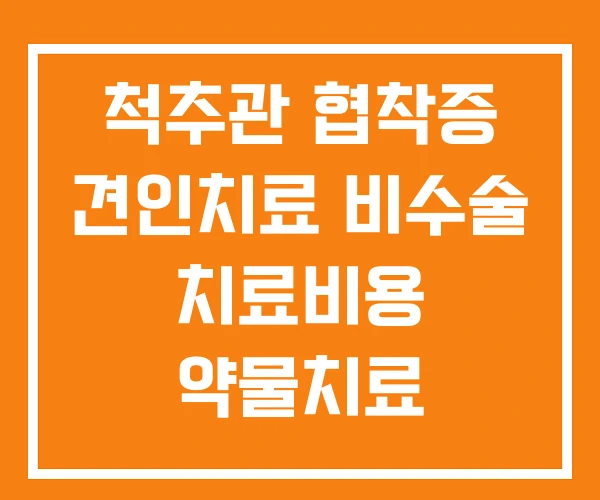 척추관 협착증 견인치료 비수술 치료비용 약물치료 척추관 협착증 견인치료 비수술 치료비용 약물치료