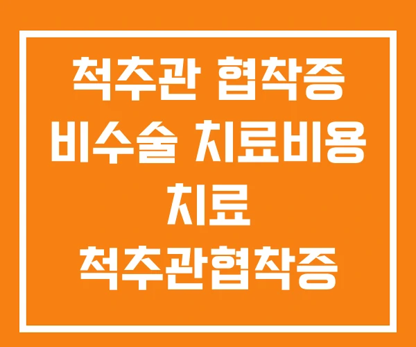 척추관 협착증 비수술 치료비용 치료 척추관협착증 치료방법 척추관 협착증 비수술 치료비용 치료 척추관협착증 치료방법