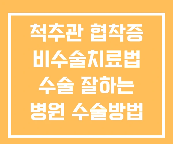 척추관 협착증 비수술치료법 수술 잘하는 병원 수술방법