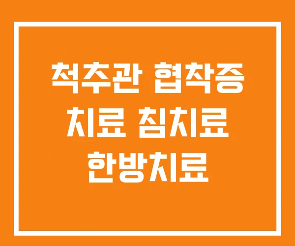 척추관 협착증 치료 침치료 한방치료 척추관 협착증 치료 침치료 한방치료