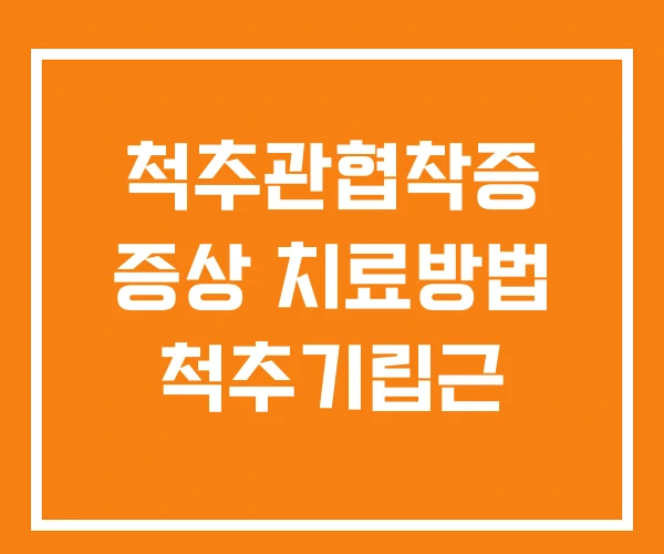 척추관협착증 증상 치료방법 척추기립근 척추관협착증 증상 치료방법 척추기립근