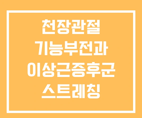 천장관절 기능부전과 이상근증후군 스트레칭