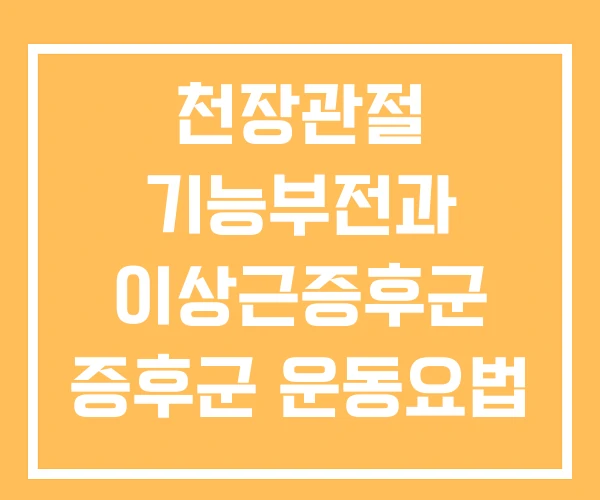 천장관절 기능부전과 이상근증후군 증후군 운동요법