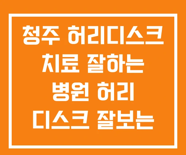 청주 허리디스크 치료 잘하는 병원 허리 디스크 잘보는