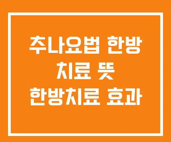 추나요법 한방 치료 뜻 한방치료 효과 추나요법 한방 치료 뜻 한방치료 효과