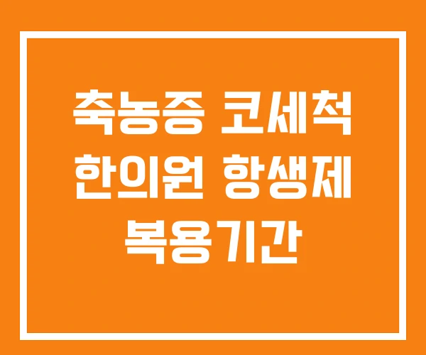 축농증 코세척 한의원 항생제 복용기간
