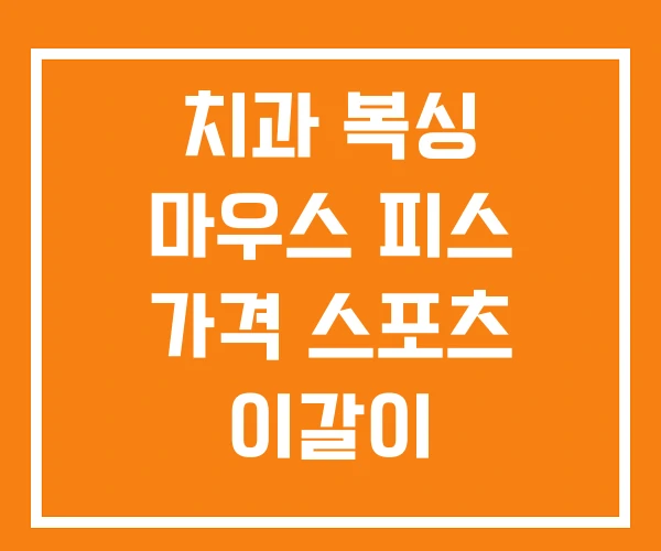치과 복싱 마우스 피스 가격 스포츠 이갈이 치과 복싱 마우스 피스 가격 스포츠 이갈이