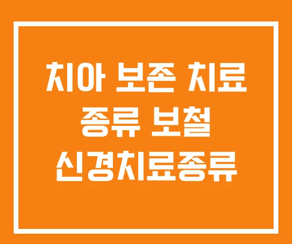 치아 보존 치료 종류 보철 신경치료종류 치아 보존 치료 종류 보철 신경치료종류