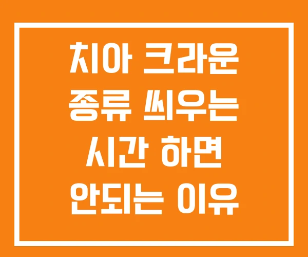 치아 크라운 종류 씌우는 시간 하면 안되는 이유 치아 크라운 종류 씌우는 시간 하면 안되는 이유