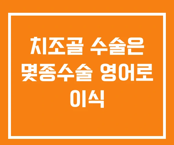 치조골 수술은 몇종수술 영어로 이식