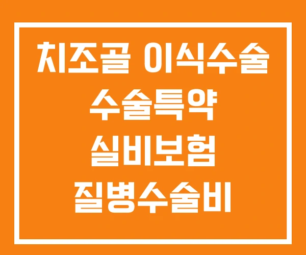 치조골 이식수술 수술특약 실비보험 질병수술비 치조골 이식수술 수술특약 실비보험 질병수술비