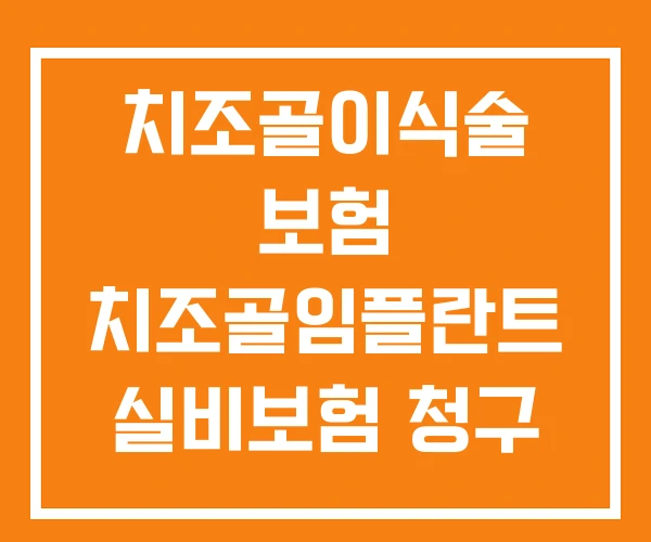 치조골이식술 보험 치조골임플란트 실비보험 청구 치조골이식술 보험 치조골임플란트 실비보험 청구