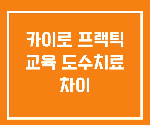 카이로 프랙틱 교육 도수치료 차이