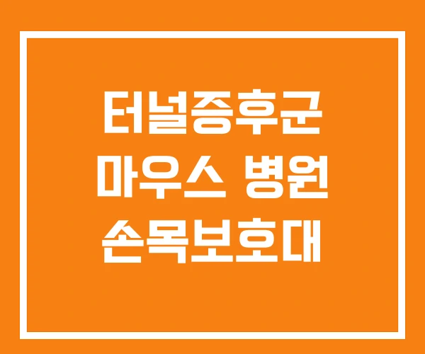 터널증후군 마우스 병원 손목보호대
