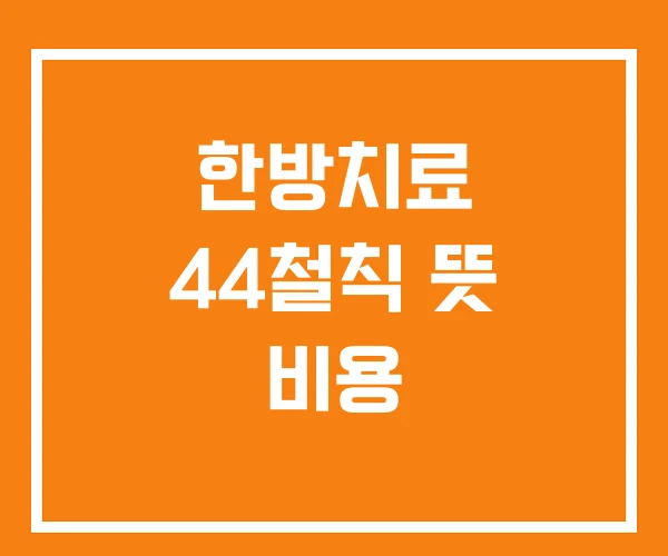 한방치료 44철칙 뜻 비용 한방치료 44철칙 뜻 비용