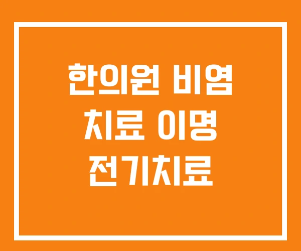 한의원 비염 치료 이명 전기치료 한의원 비염 치료 이명 전기치료