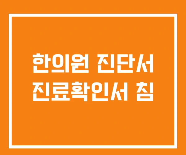 한의원 진단서 진료확인서 침 한의원 진단서 진료확인서 침
