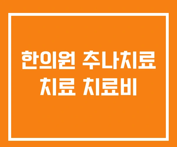 한의원 추나치료 치료 치료비 한의원 추나치료 치료 치료비