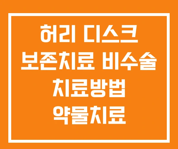 허리 디스크 보존치료 비수술 치료방법 약물치료