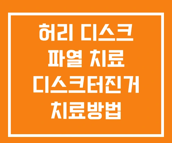 허리 디스크 파열 치료 디스크터진거 치료방법 허리디스크 허리 디스크 파열 치료 디스크터진거 치료방법 허리디스크
