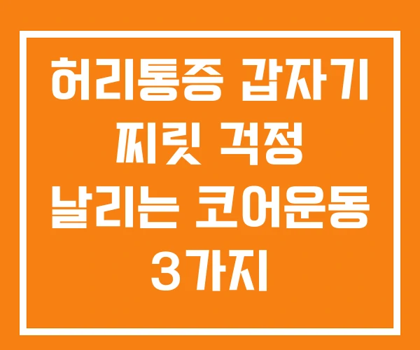 허리통증 갑자기 찌릿 걱정 날리는 코어운동 3가지