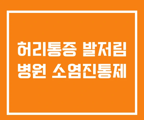 허리통증 발저림 병원 소염진통제