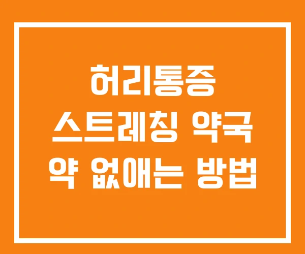 허리통증 스트레칭 약국 약 없애는 방법 허리통증 스트레칭 약국 약 없애는 방법