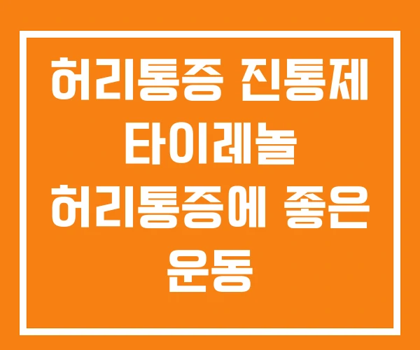 허리통증 진통제 타이레놀 허리통증에 좋은 운동